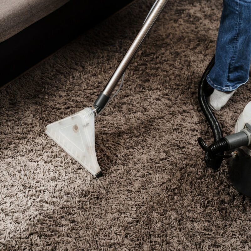How Often Should You Professionally Clean Your Carpet?