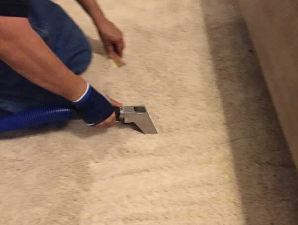 Technician deep cleaning a residential carpet