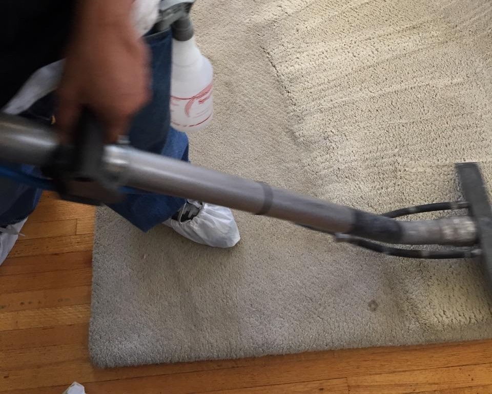 Carpet cleaning wand cleaning a home carpet