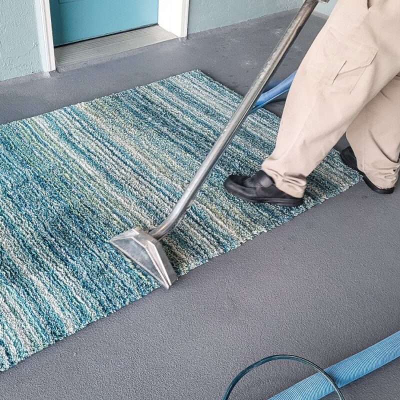 Seasonal Carpet Care: Preparing for Holidays, Parties, and Guests