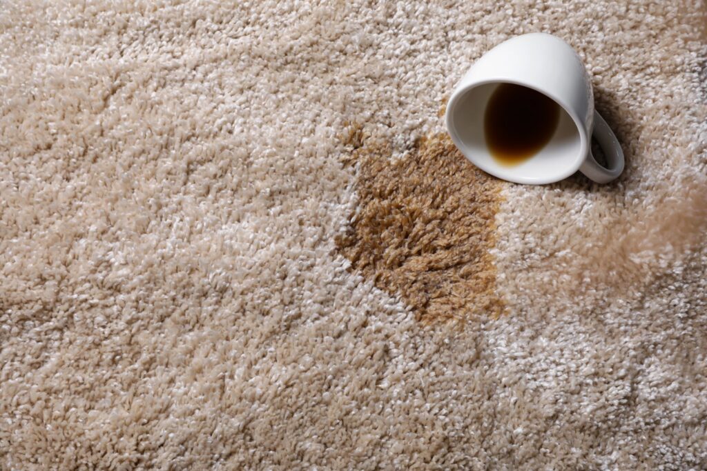 What Causes Carpet Browning and Discoloration? Common Reasons Your Carpet Changes Color