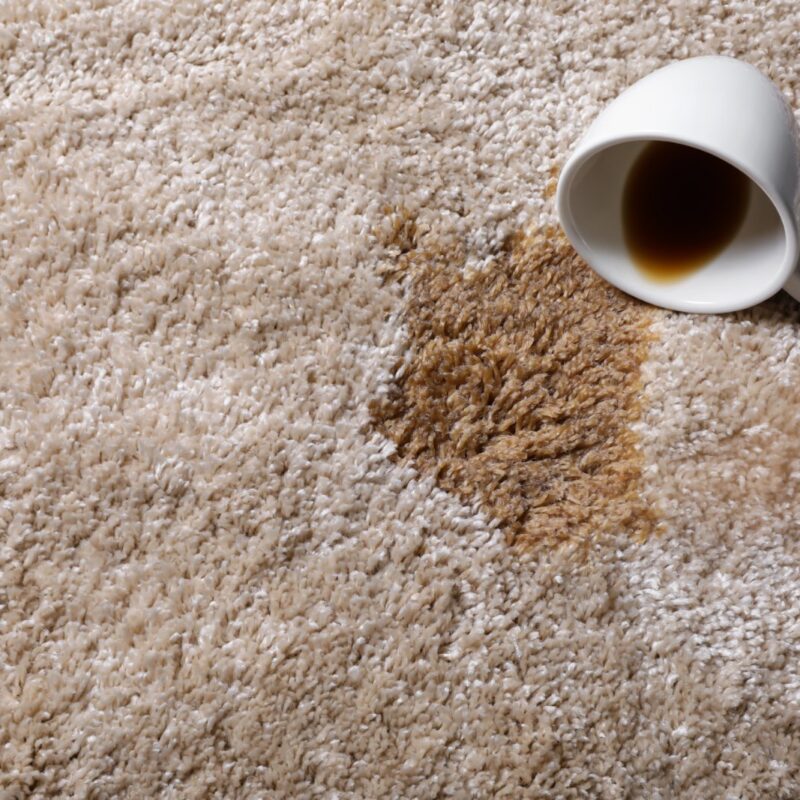What Causes Carpet Browning and Discoloration? Common Reasons Your Carpet Changes Color